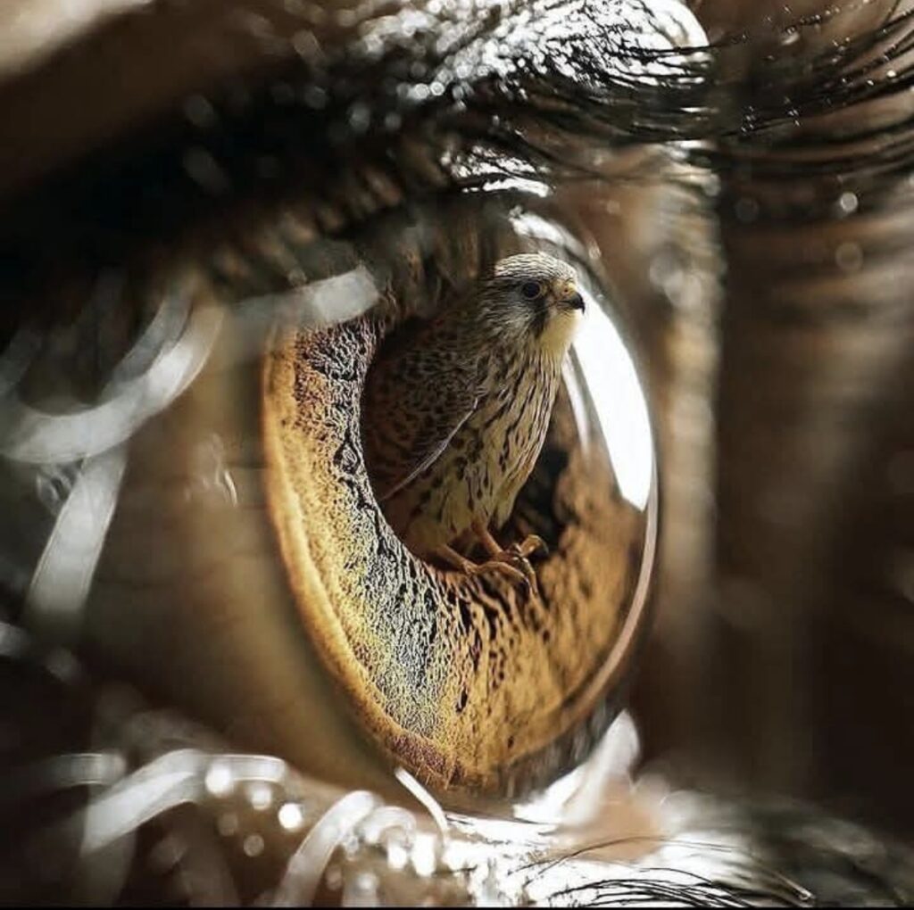 Screenshot_20250603_153631_com_facebook_katana_FbMainTabActivity